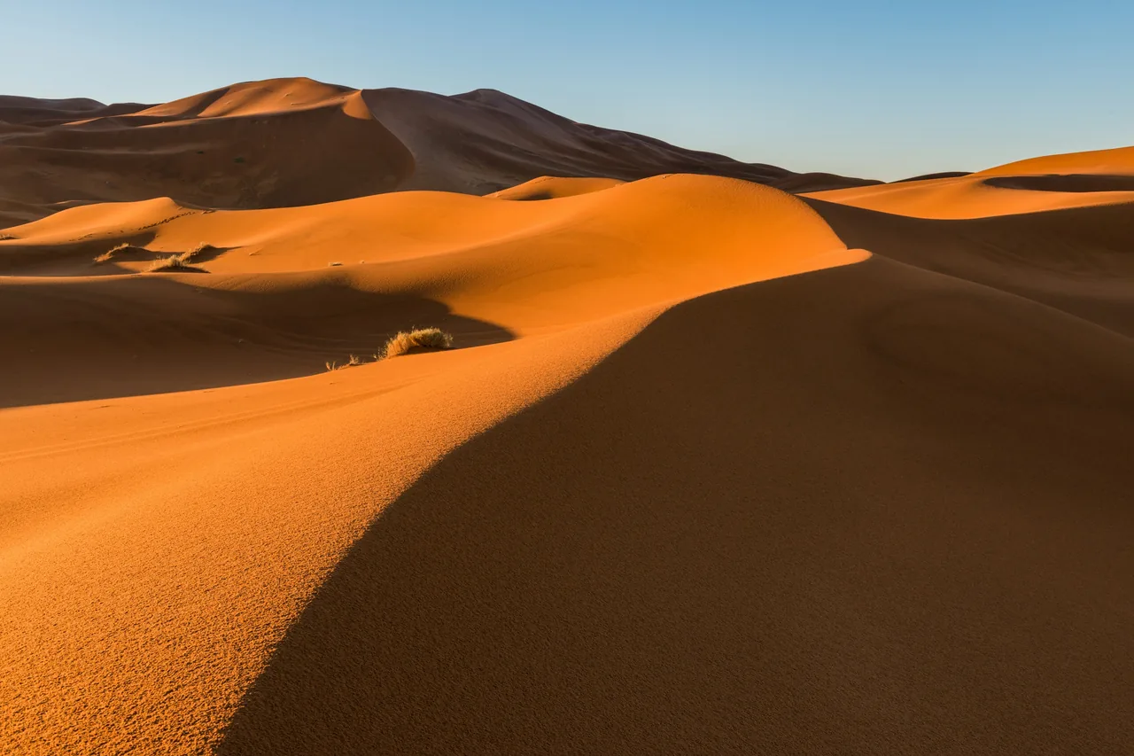 Moroccan Sahara sand dunes in warm evening light