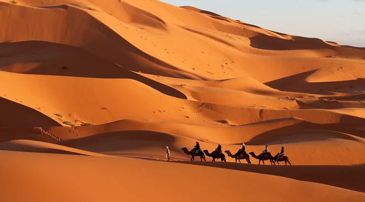 A camel caravan crossing the Erg Chebbi dunes near Merzouga.